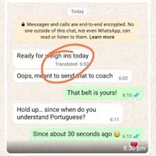 WhatsApp Real-Time-Chat Translation